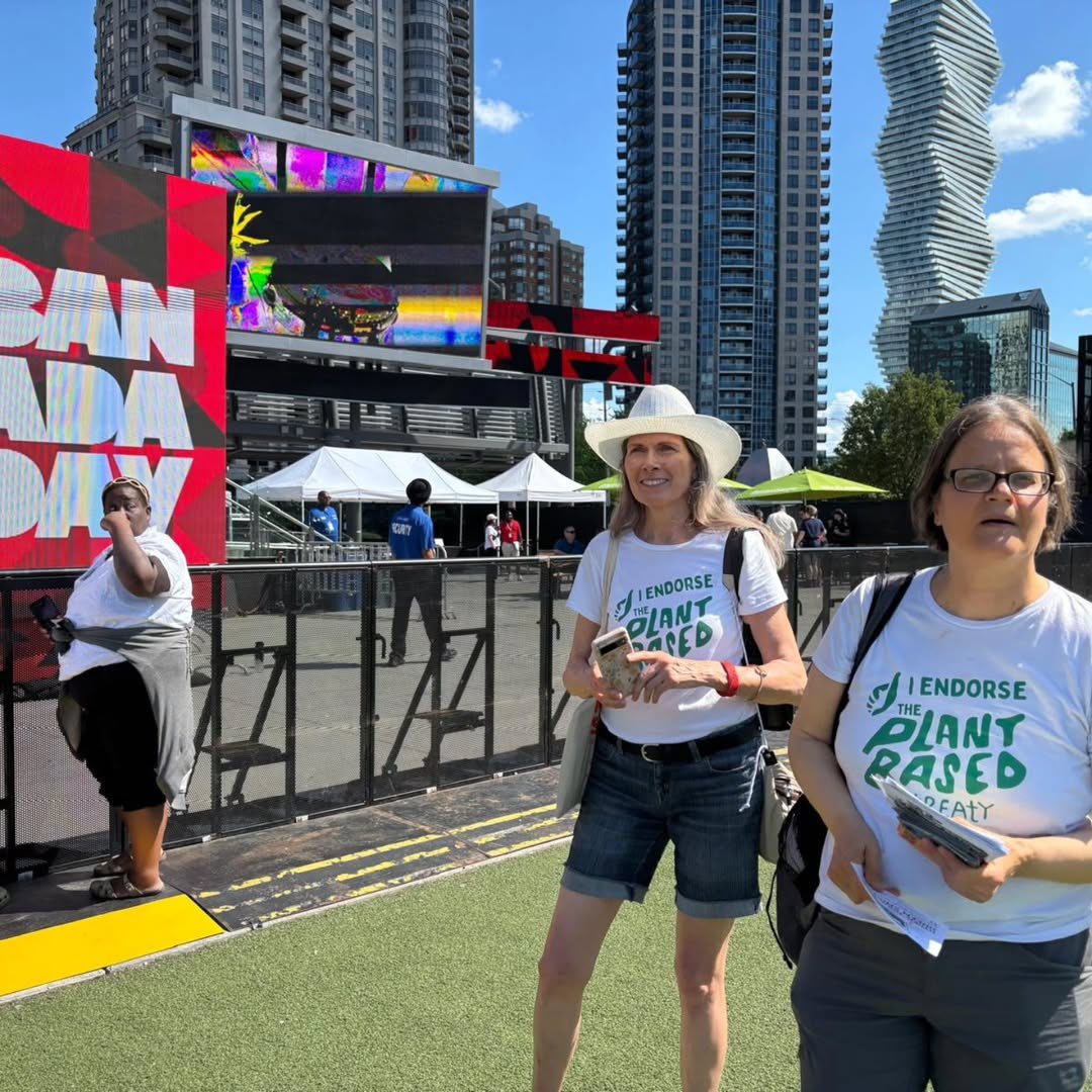 PlantBasedTreaty (@plant_treaty) on Twitter photo 🌿🇨🇦 On #CanadaDay at Celebration Square, our #PlantBasedTreaty Mississauga team met with <a href="/Chris_Fonseca3/">Chris Fonseca</a>, <a href="/JohnKovac4/">John Kovac</a> & Deputy Mayor <a href="/mattmahoney_8/">Matt Mahoney</a>! 🌱 Grateful to connect with leaders supporting sustainability & community. 💚 🌿🇨🇦 On #CanadaDay at Celebration Square, our #PlantBasedTreaty Mississauga team met with <a href="/Chris_Fonseca3/">Chris Fonseca</a>, <a href="/JohnKovac4/">John Kovac</a> & Deputy Mayor <a href="/mattmahoney_8/">Matt Mahoney</a>! 🌱 Grateful to connect with leaders supporting sustainability & community. 💚