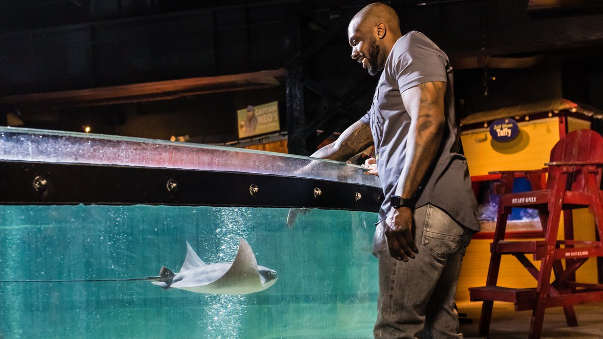 cleaquarium's tweet image. Military & 1st responders receive free #cleaquarium parking & admission today (Monday, July 7) with ID . It's the last day of our last day of the 4th of July Waves of Appreciation Weekend! #flatswestbank #cleveland Details: ow.ly/g6hB50WlF5F