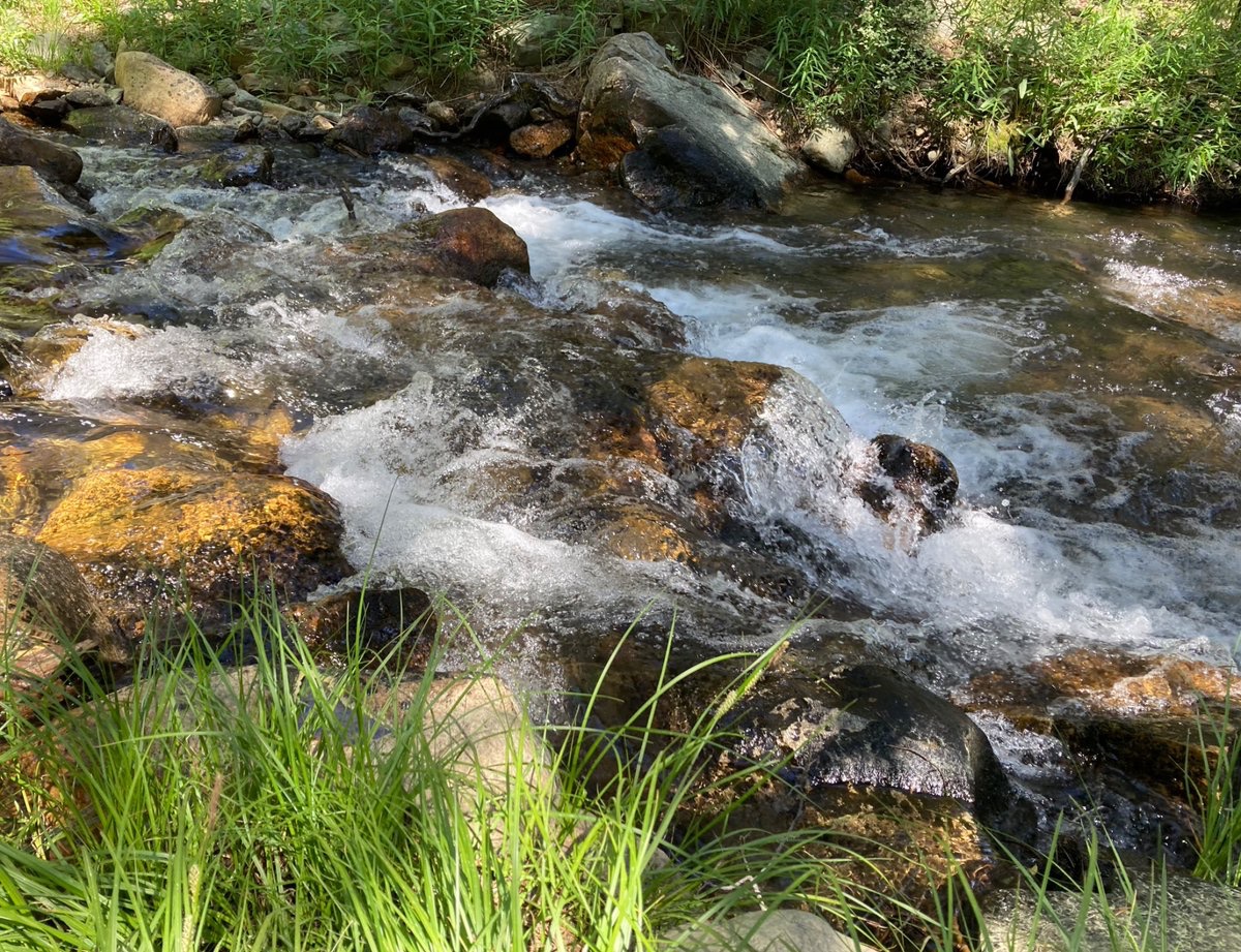wildcreativity's tweet image. All night I listen
to the river laughing
her bubbling voices.
#haiku #naturephotography