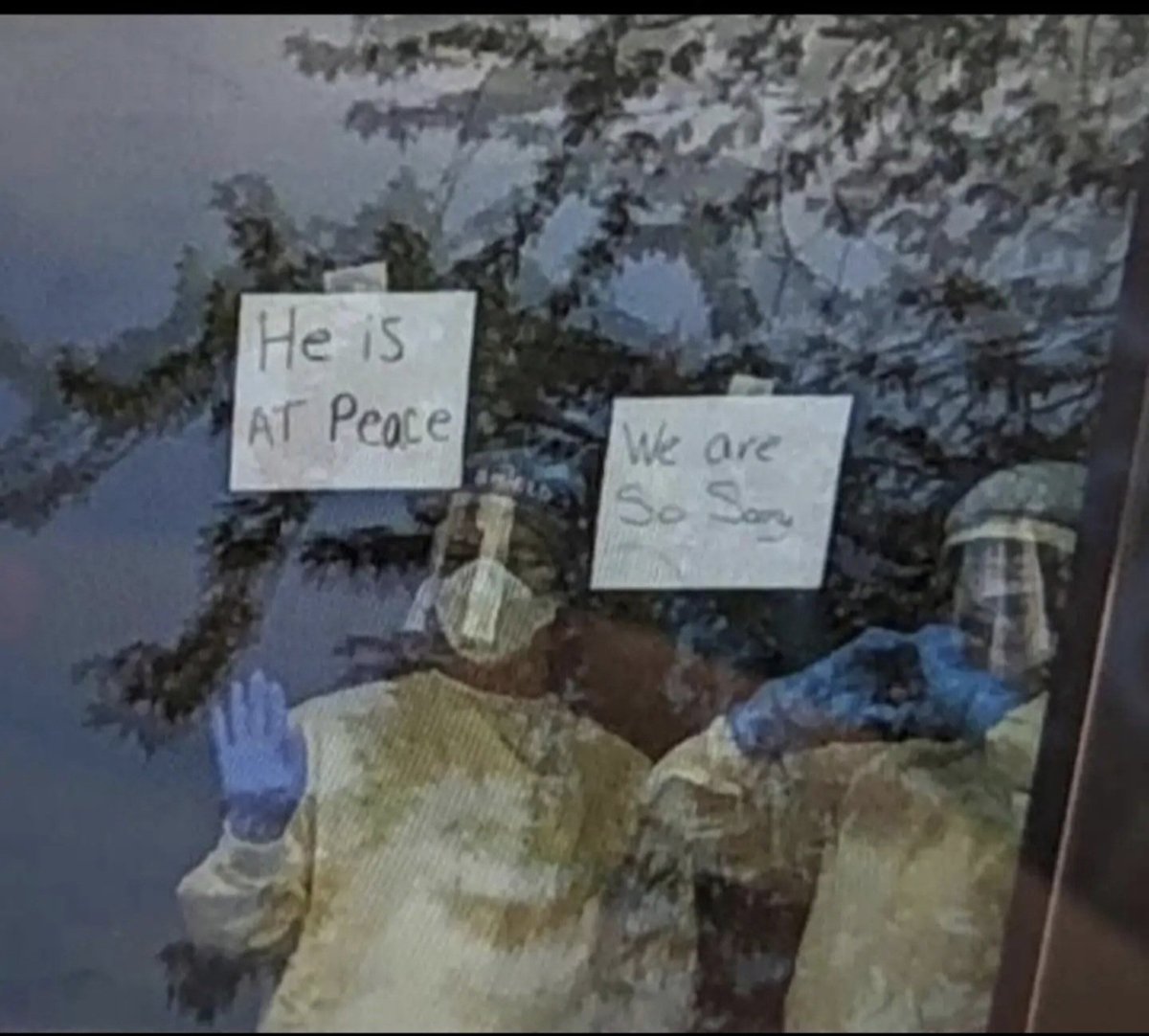 If you thought this was acceptable👇 Spare me your outrage over the "inhumanity" of alligator Alcatraz.