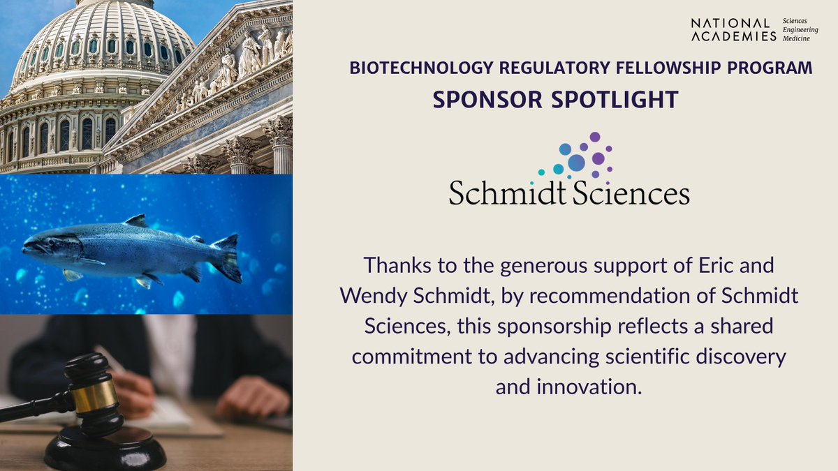 NASEM_BioRegFS's tweet image. With support from Eric and Wendy Schmidt, by recommendation of Schmidt Sciences, we’re exploring biotech innovation.
Apply now for the Biotechnology Regulatory Fellowship and be part of the impact! - ow.ly/x6AL50Wh0cN
#BiotechnologyFellowship #STEMandPolicy #ApplyNow