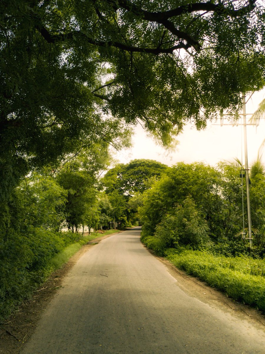 arthextic's tweet image. photos i took near my home.