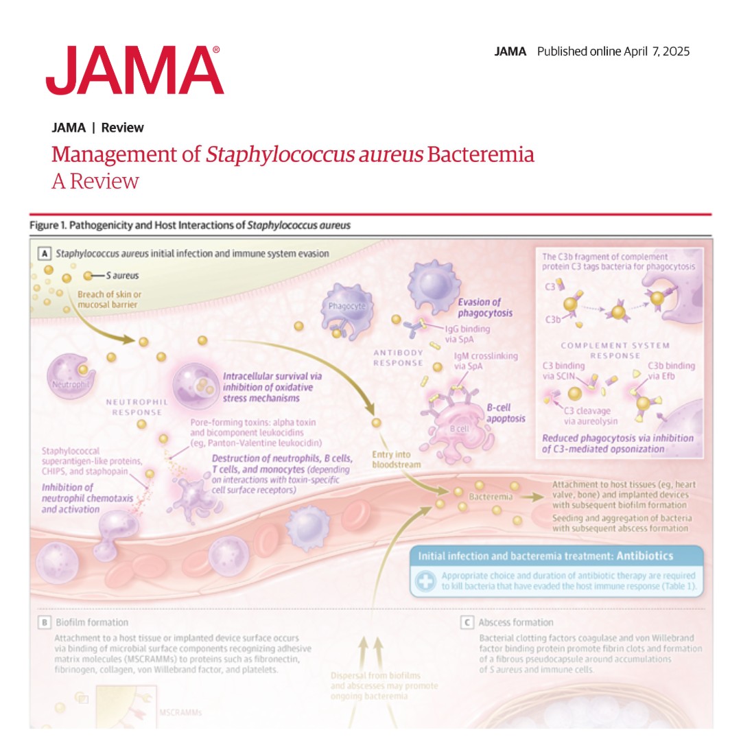 Staphylococcus aureus bacteremia has a case fatality rate of 15% to 30% and causes 300 000 deaths per year worldwide. 

This Review discusses management of S aureus bacteremia.

ja.ma/4lbxA3l