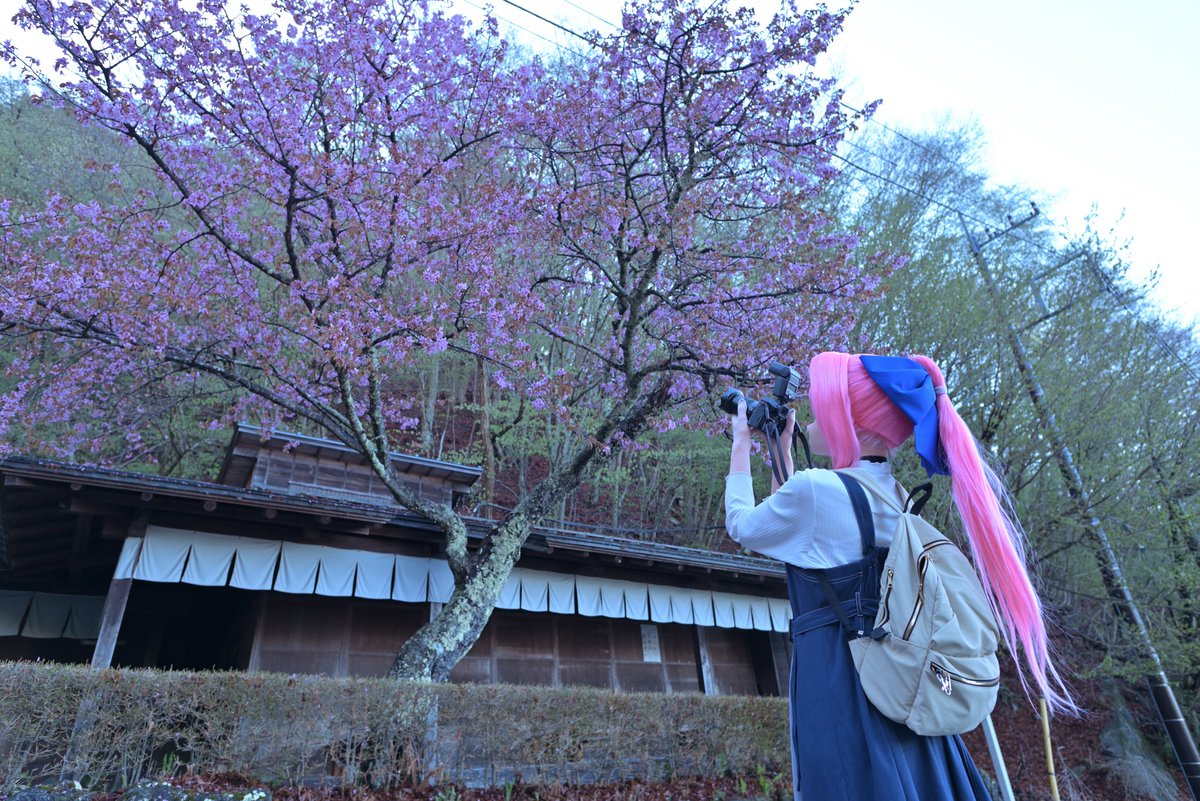 #ポニーテールの日
１枚目📷<a href="/kigu2_liqueur/">りきゅ～る．＠着ぐるみの中にツメラレタイ</a>  
２枚目📷<a href="/kig_risacchi/">りさっち♪</a>
#飛車オフ