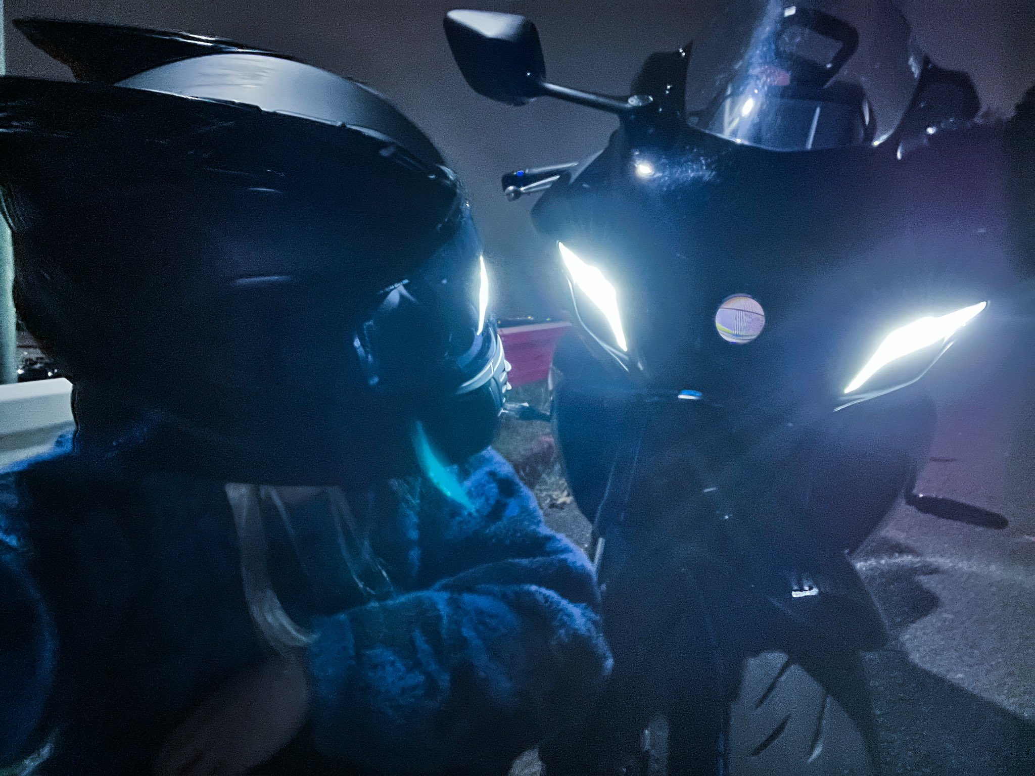 （7月VIP 10%off中) レオです❣️0627 令和7年7月7日はr7の日 - Search / X