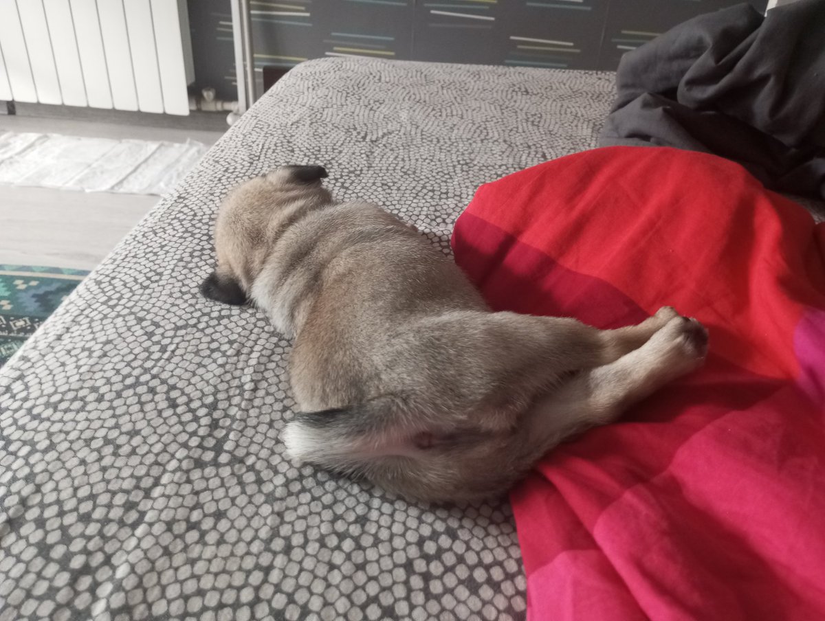 Теперь живу по графику "покушали-поиграли-покакали-поспали", вот счастье то!