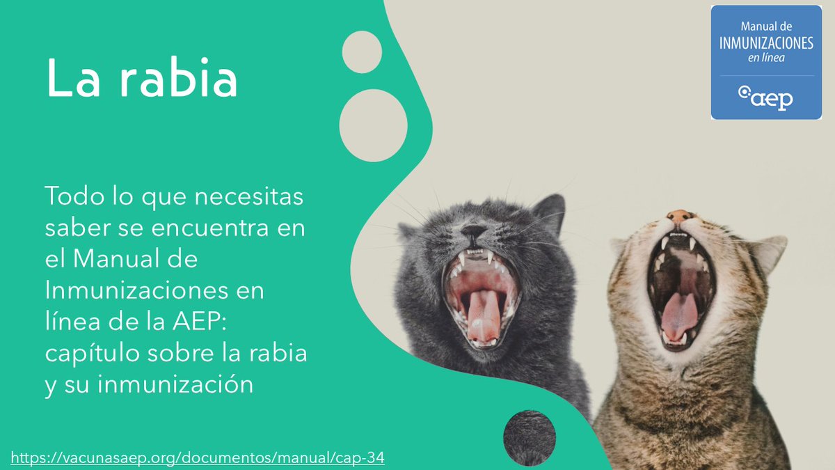 Comité Vacunas e Inmunizaciones-AEP (@cav_aep) on Twitter photo En España, los riesgos de rabia se centran en tres escenarios:
1. Por ser zona de paso entre Europa y África a través de Marruecos
2. Los viajes a otros países por motivos de turismo, cooperación o negocios
3. Transmisión de rabia por los murciélagos.
vacunasaep.org/profesionales/… En España, los riesgos de rabia se centran en tres escenarios:
1. Por ser zona de paso entre Europa y África a través de Marruecos
2. Los viajes a otros países por motivos de turismo, cooperación o negocios
3. Transmisión de rabia por los murciélagos.
vacunasaep.org/profesionales/…