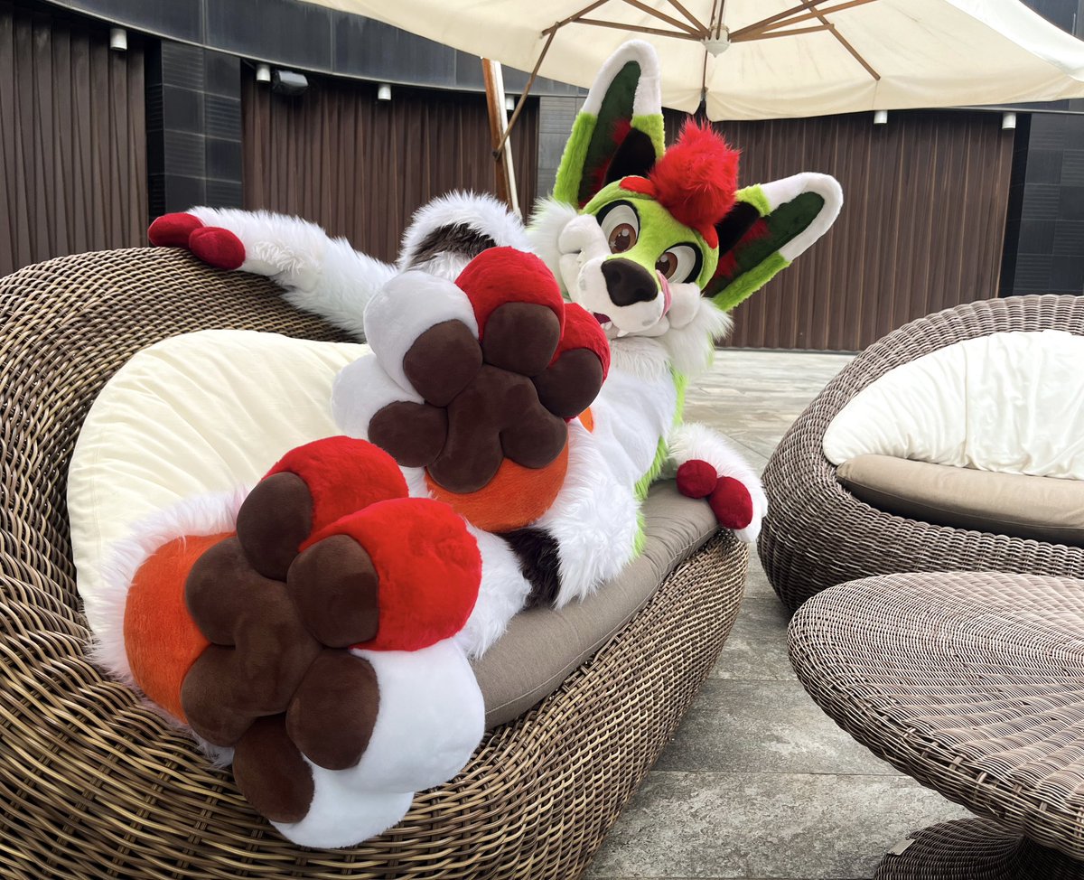 KAOMORO (@kaomoro97) on Twitter photo ..This spot? Yes; though mind if i rest my paws on your laps? ๐
๐ธ <a href="/KSquiffy/">Kay Squiffy</a>
๐พ๐ฆ @blueprintcostumes.com ..This spot? Yes; though mind if i rest my paws on your laps? ๐
๐ธ <a href="/KSquiffy/">Kay Squiffy</a>
๐พ๐ฆ @blueprintcostumes.com