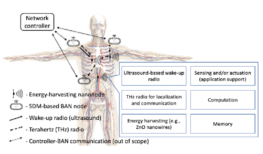 CorinneNokel's tweet image. Let's talk about the BAN nodes

Zinc Oxide Nanowires for Energy Harvesting 

Wireless #THz Intra-Body Nanocommunication 

arxiv.org/pdf/2101.01952