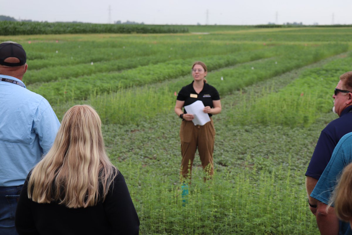 PurdueAgryExt's tweet image. Register today purdue.ag/hemp-field-day to join us 07/30/25 for a Hemp Field Day. @PurdueFoodSci & @PurdueANSC will present the latest research & product development w/poultry production + food science in Hemp. Join us @PurdueAgronomy @PurdueExtension @diversecornbelt @PurdueHemp