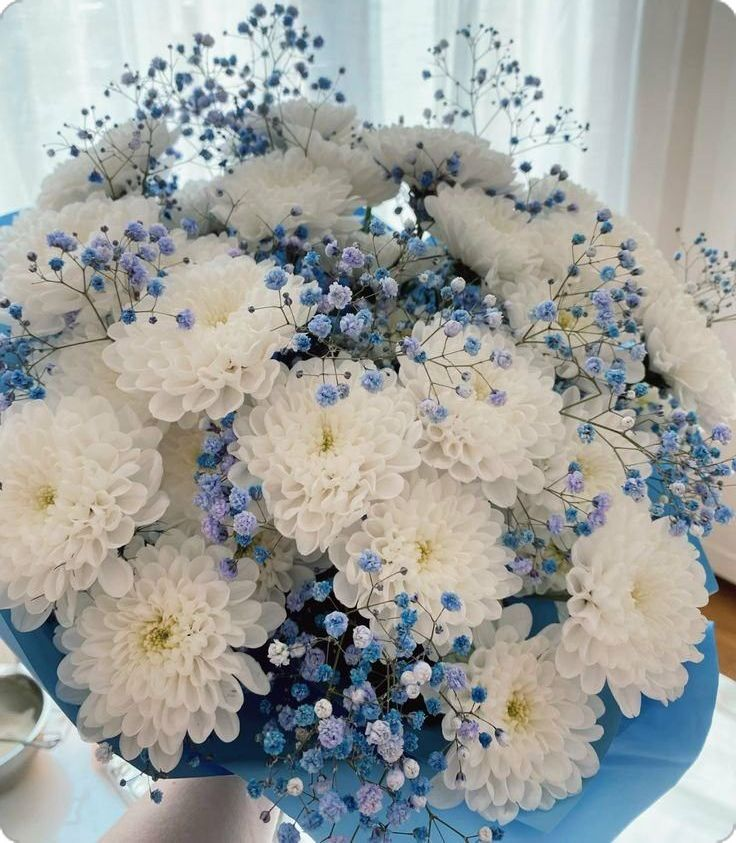 lavieestbelIe's tweet photo. https://t.co/NyjYI1gwnv