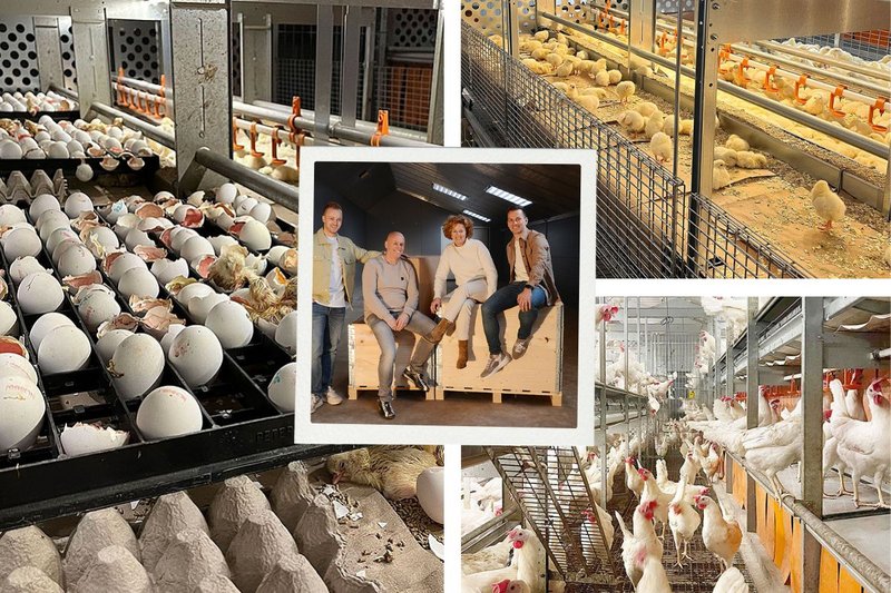 Big Dutchman International (@bigdutchmanint) on Twitter photo || The Claessens-Jenniskens family and Big Dutchman are reimagining egg production: from hatching ๐ฃ to the commercial egg ๐ฅ.
In an interview ๐ค Jelle Claessens explains how Natura Life ๐ unites rearing and egg production.
๐Curious to learn more? โคต๏ธ
bigdutchman.com/en/news-storieโฆ || The Claessens-Jenniskens family and Big Dutchman are reimagining egg production: from hatching ๐ฃ to the commercial egg ๐ฅ.
In an interview ๐ค Jelle Claessens explains how Natura Life ๐ unites rearing and egg production.
๐Curious to learn more? โคต๏ธ
bigdutchman.com/en/news-storieโฆ