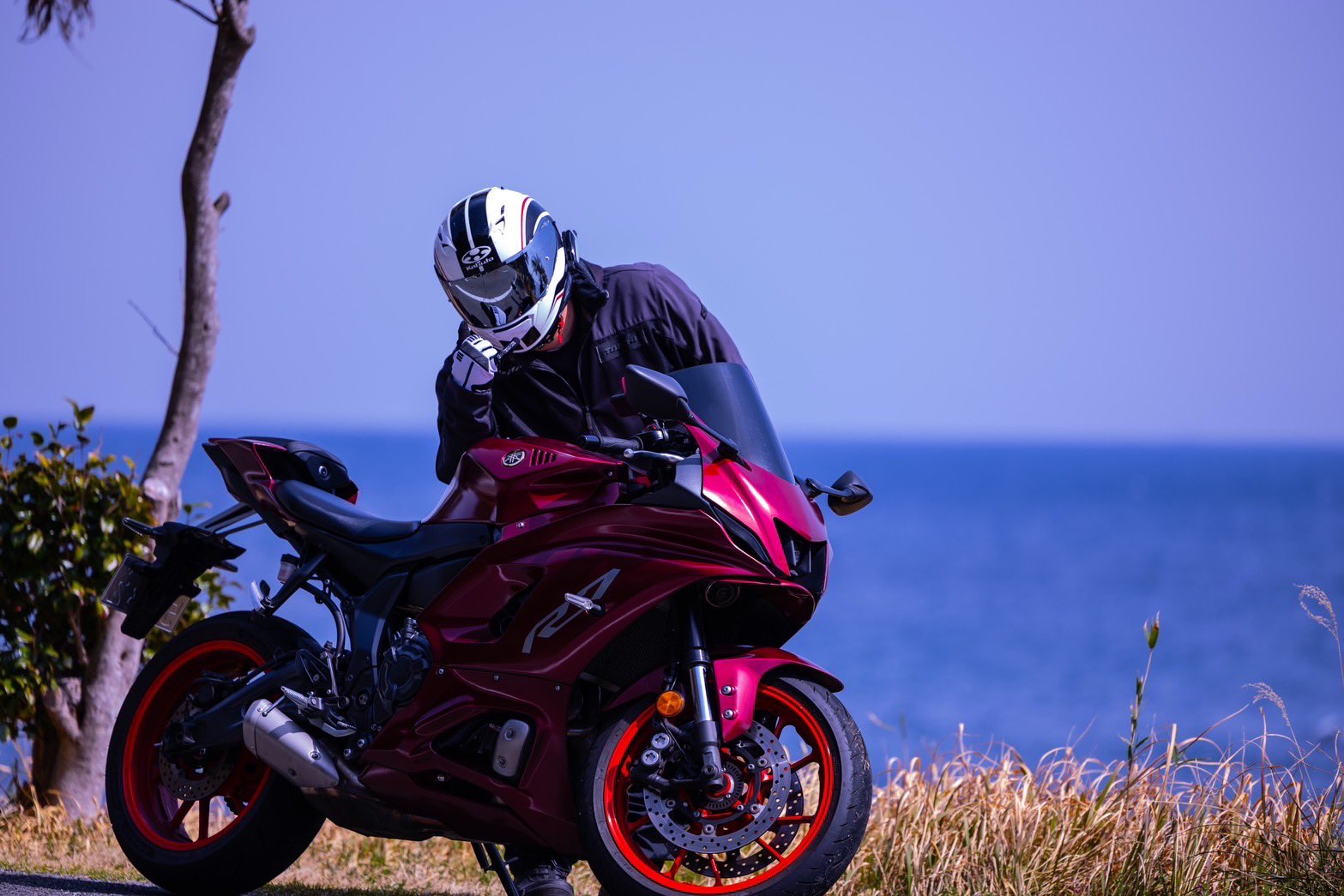 （7月VIP 15%off中） 名残月です❣0704 令和7年7月7日はr7の日 - Search / X