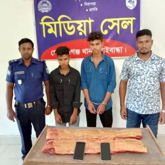 গোবিন্দগঞ্জে ৩ কেজি গাঁজাসহ দুই মাদক কারবারি আটক