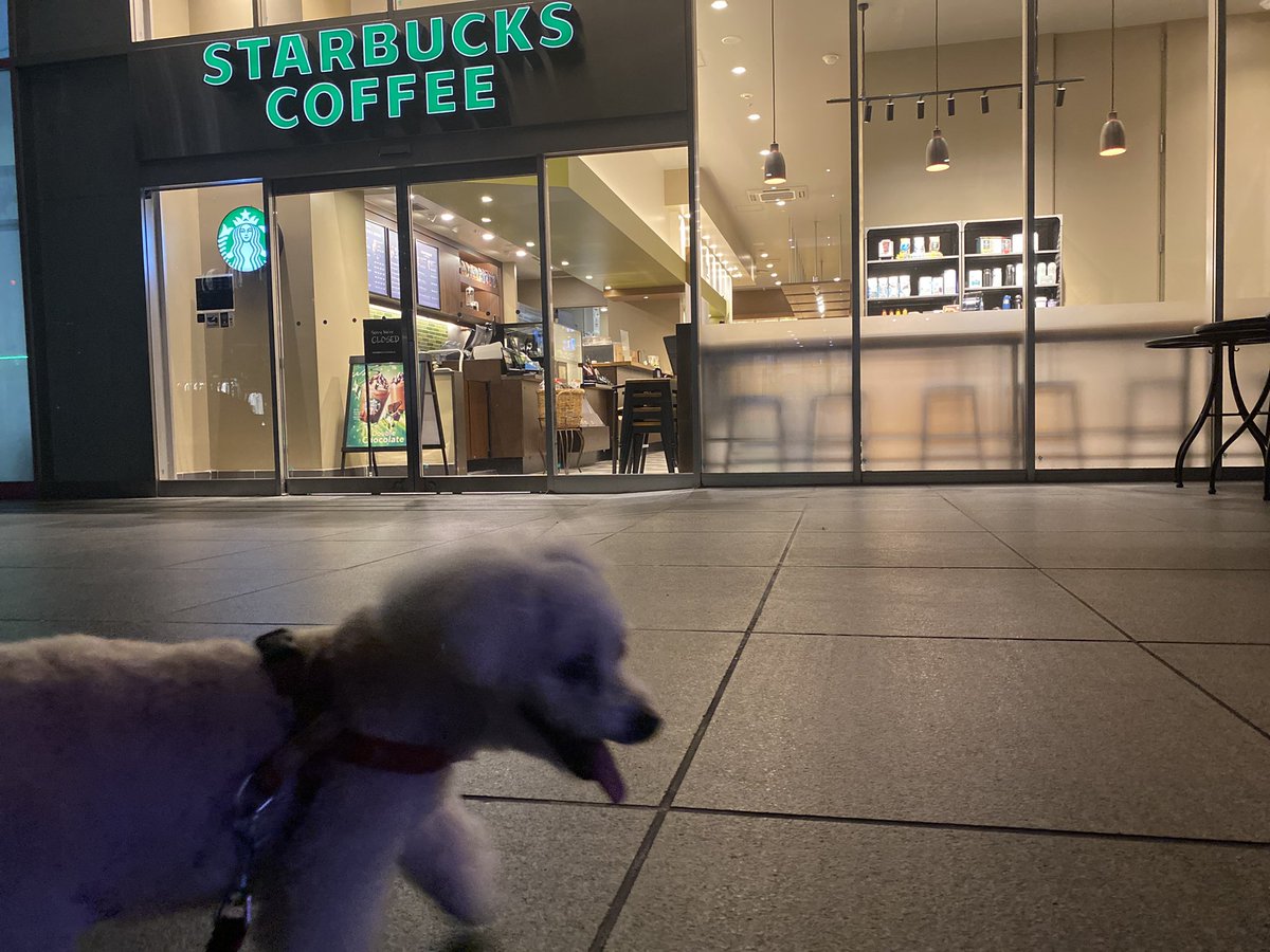 ✹( '-' ✹ )ｳﾆ!✺✺✺