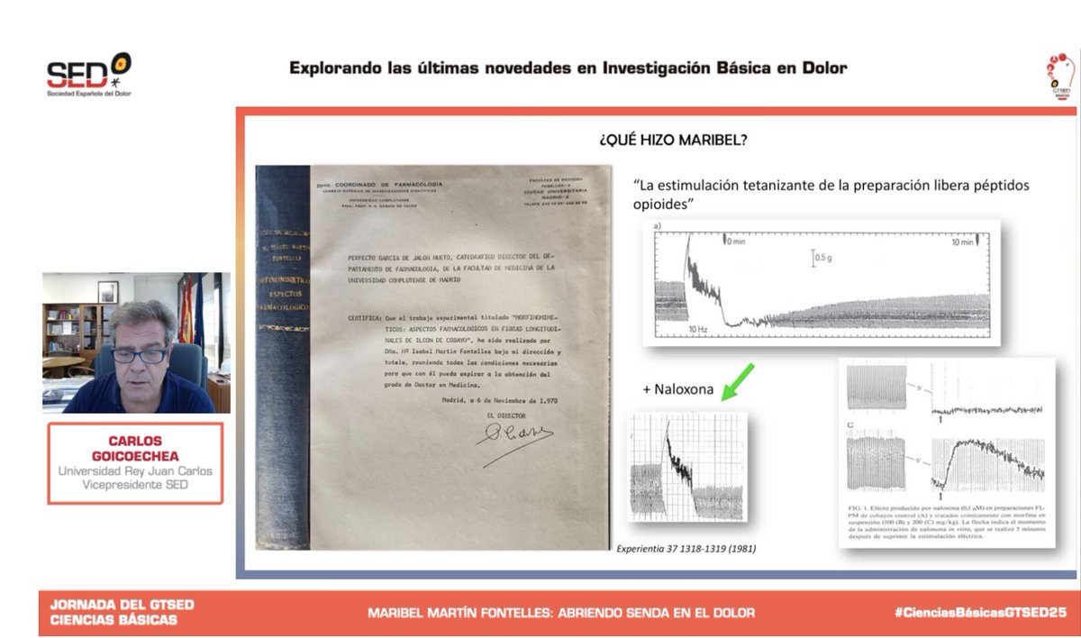 Sociedad Española del Dolor #SEDolor25 (@sedolor) on Twitter photo En marcha con la Jornada del Grupo de Ciencias Básicas. <a href="/cgoicogar/">Carlos Goicoechea #SEDolor26</a> nos habla de Maribel Martín Fontelles y su importante papel abriendo senda en el Dolor. Vicepresidente de la @sedolor y Decano de la <a href="/URJCFCS/">Facultad de Ciencias de la Salud-URJC</a>
#CienciasBásicasGTSED25 #DolorCrónico #Investigación En marcha con la Jornada del Grupo de Ciencias Básicas. <a href="/cgoicogar/">Carlos Goicoechea #SEDolor26</a> nos habla de Maribel Martín Fontelles y su importante papel abriendo senda en el Dolor. Vicepresidente de la @sedolor y Decano de la <a href="/URJCFCS/">Facultad de Ciencias de la Salud-URJC</a>
#CienciasBásicasGTSED25 #DolorCrónico #Investigación