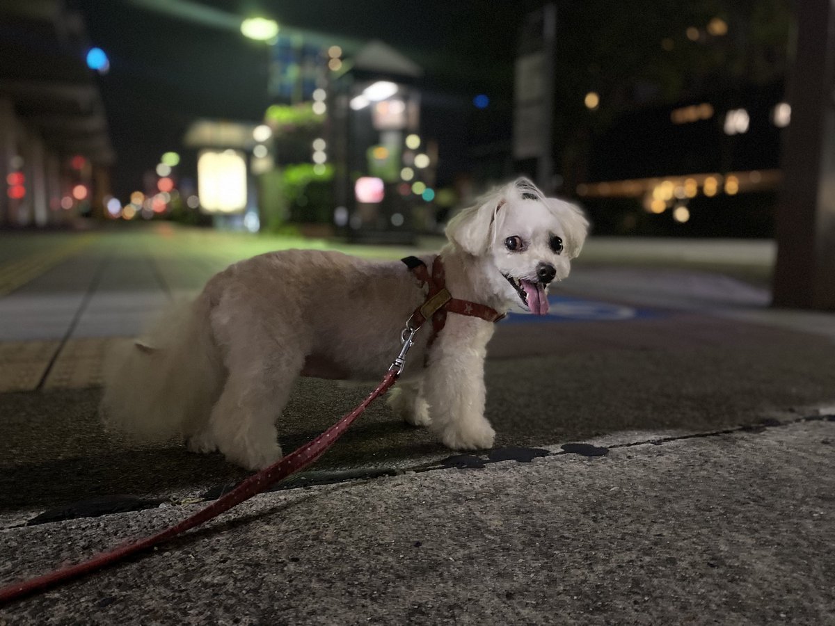 ✹( '-' ✹ )ｳﾆ!✺✺✺