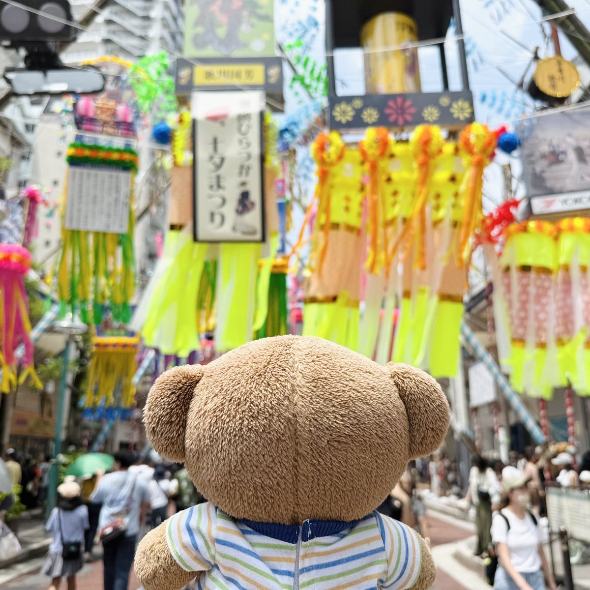 BorisPori's tweet image. 昨日行った七夕祭り( ・ᴥ・ )🎋