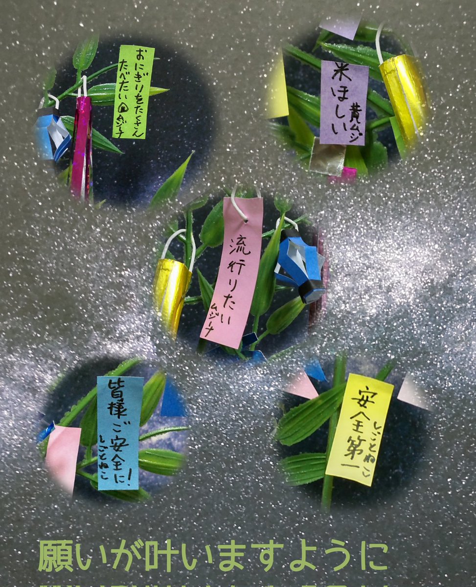 七夕🎋
今年は令和7年7月7日の777七夕ですね。願い事が叶うといいなぁ✨️
#七夕
#ムジーナ 
#仕事猫