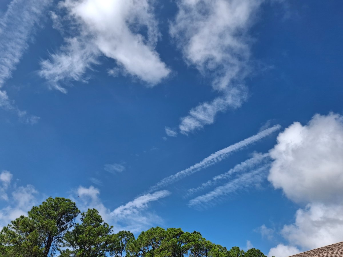 RTPatriot125086's tweet image. Day 7 They've ramped up the blatant disregard for FL ban.With the lack of a Serious action to prosecute this Will continue. @annvandersteel @RealDrJaneRuby @ron