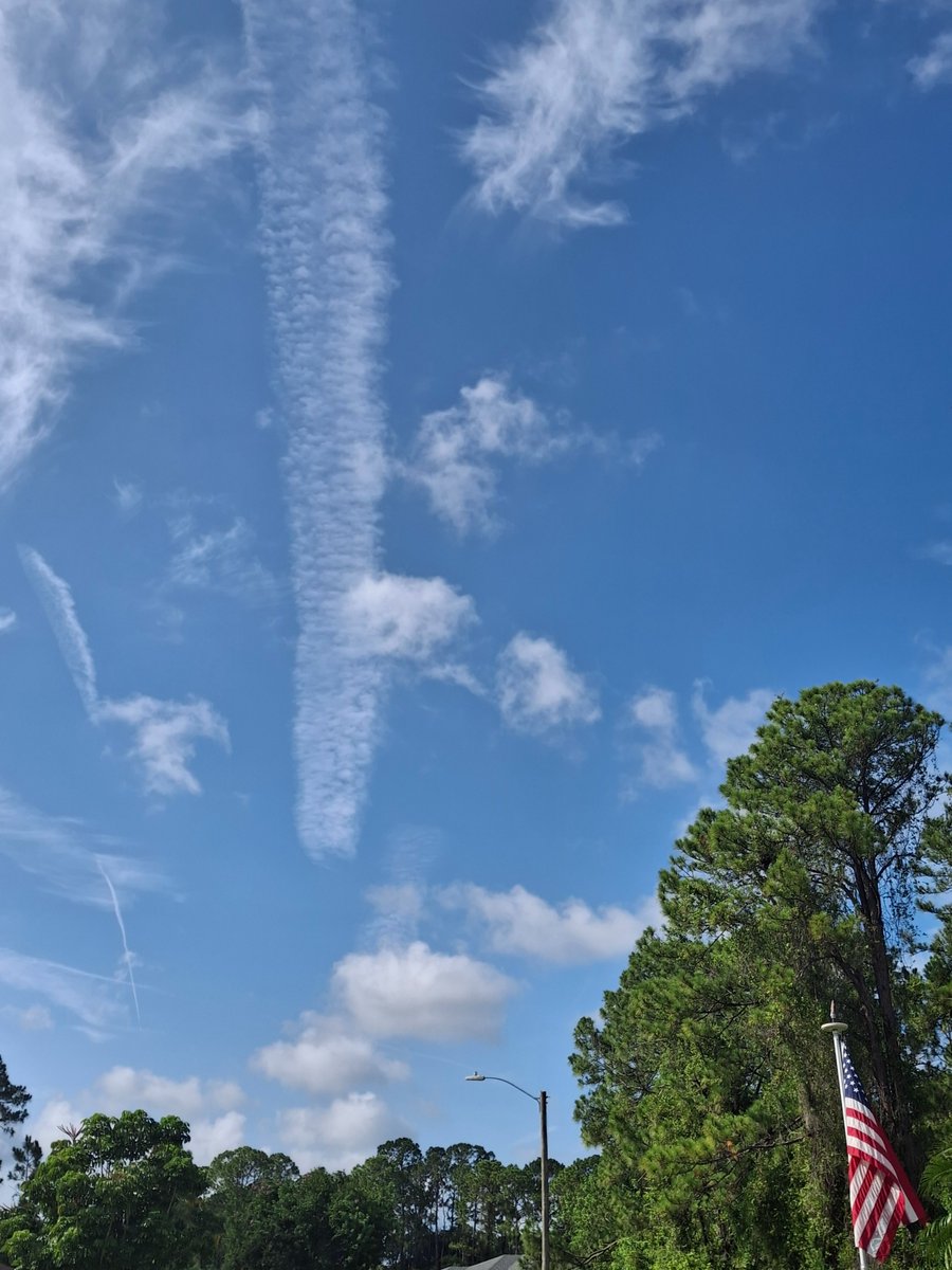 RTPatriot125086's tweet image. Day 7 They've ramped up the blatant disregard for FL ban.With the lack of a Serious action to prosecute this Will continue. @annvandersteel @RealDrJaneRuby @ron
