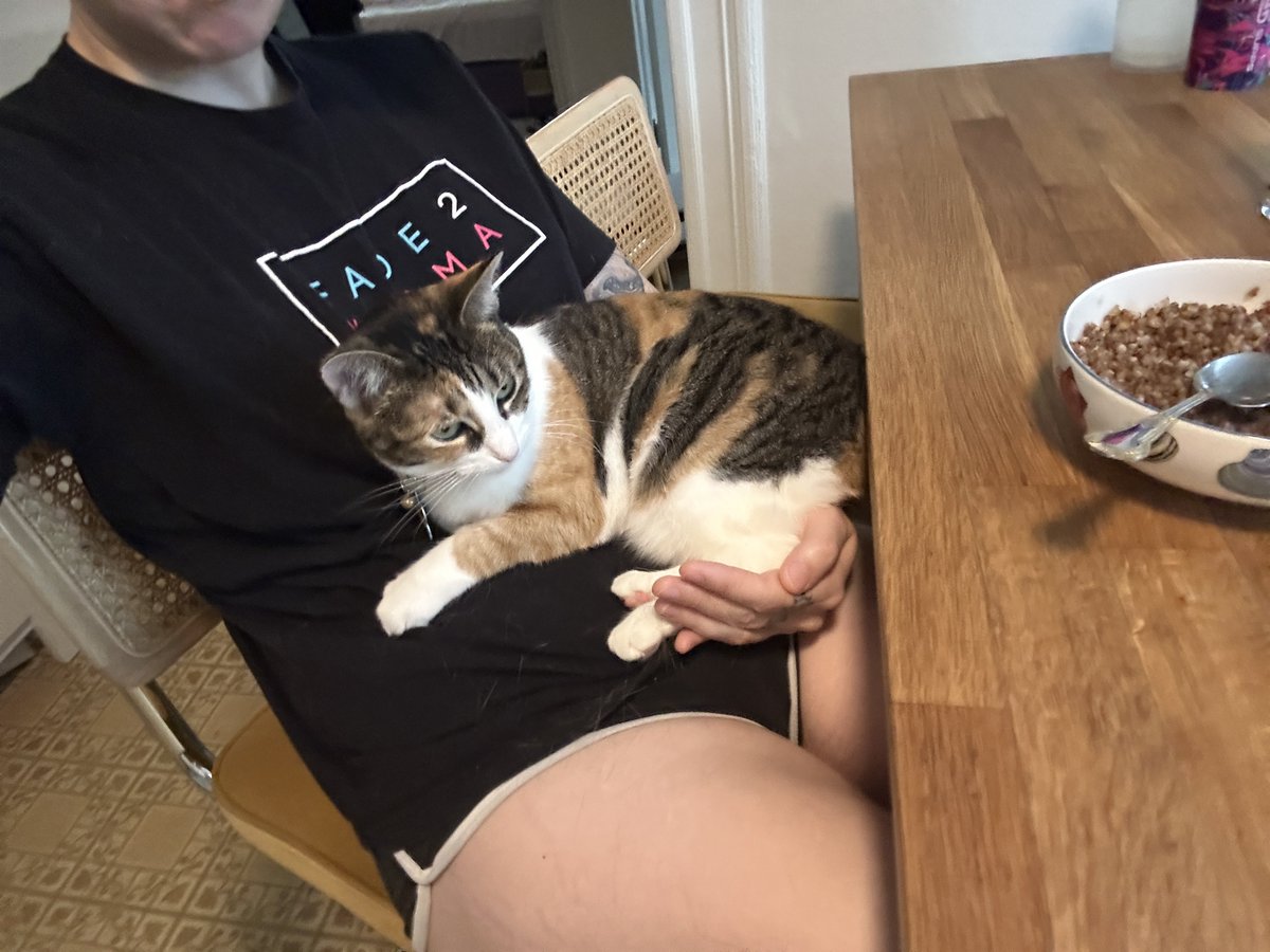Bloody's tweet image. moved my stream setup to the new apartment (with AC!!) ~
internet is still waiting to be installed, but in the meantime here is the babiest baby to ever baby
shes just sitting in my hand all cuddly and happy AHHH I LOVE HER SO MUCH 🥹🥹