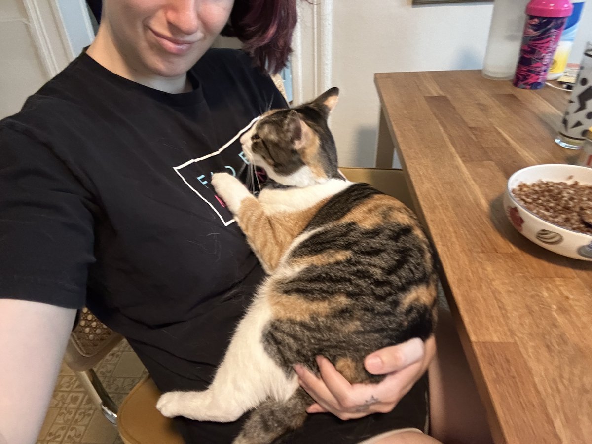 Bloody's tweet image. moved my stream setup to the new apartment (with AC!!) ~
internet is still waiting to be installed, but in the meantime here is the babiest baby to ever baby
shes just sitting in my hand all cuddly and happy AHHH I LOVE HER SO MUCH 🥹🥹