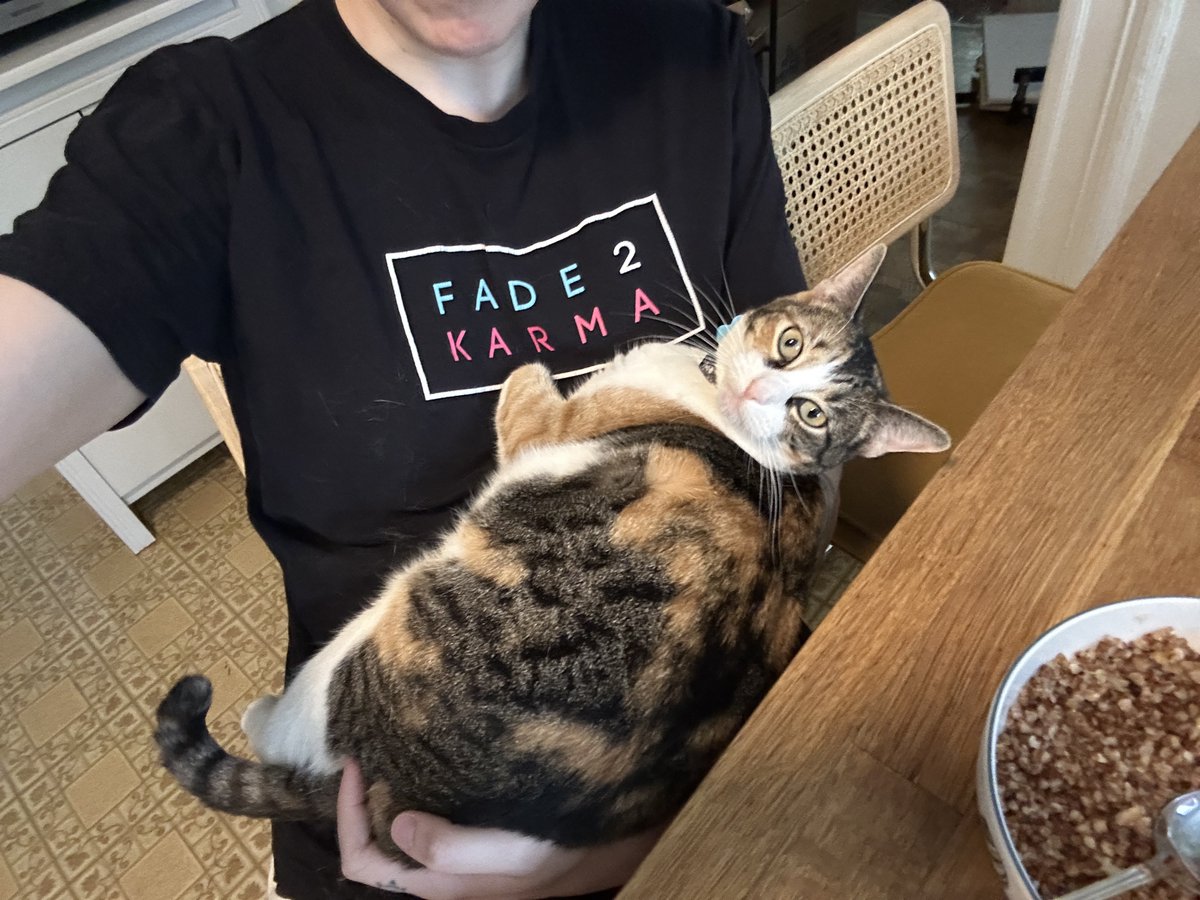 Bloody's tweet image. moved my stream setup to the new apartment (with AC!!) ~
internet is still waiting to be installed, but in the meantime here is the babiest baby to ever baby
shes just sitting in my hand all cuddly and happy AHHH I LOVE HER SO MUCH 🥹🥹