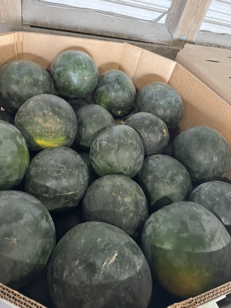 TRACTO 🚜 tweet media