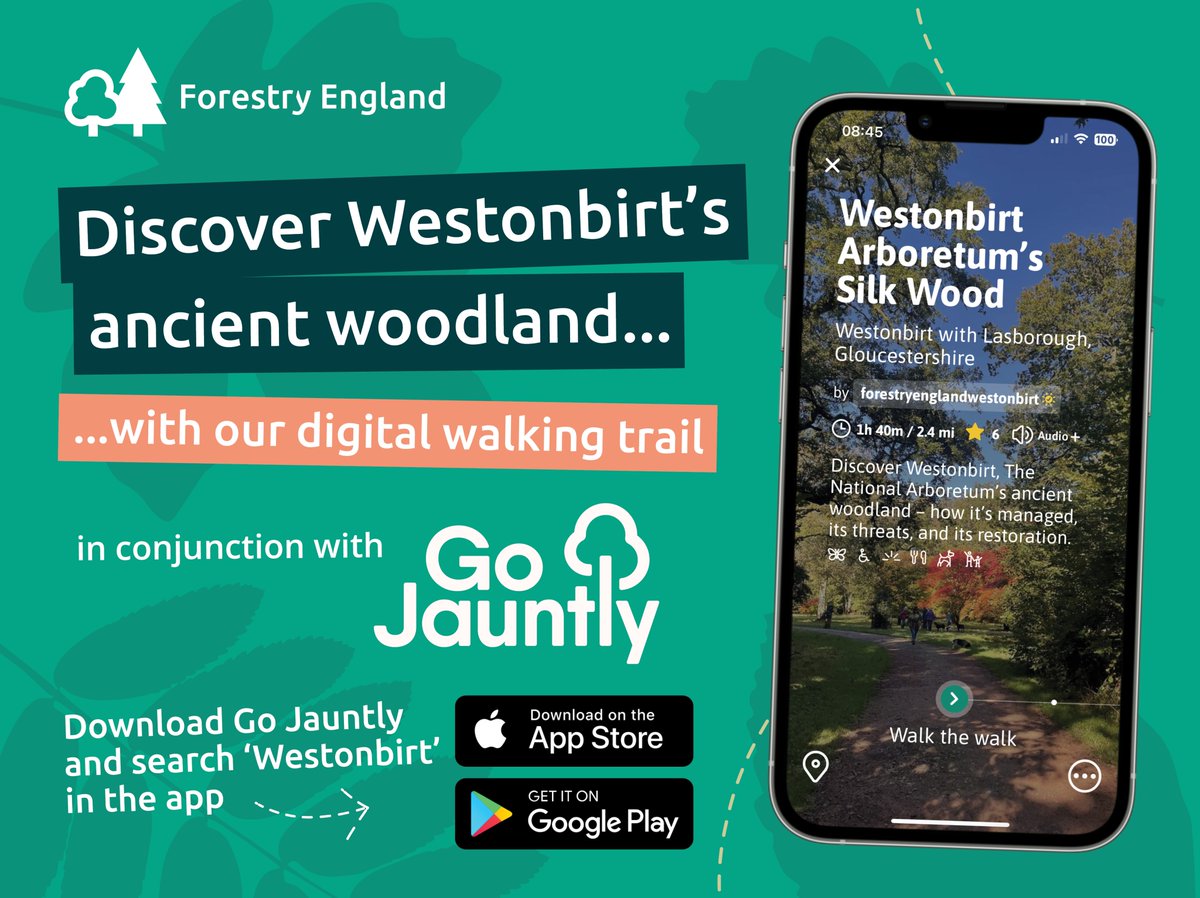 WestonbirtArb's tweet image. 🌲 New walk app launched today! Explore Silk Wood at Westonbirt Arboretum. Discover ancient woodland, native trees, climate action & history on a self-guided trail via @GoJauntly 🌿📲
Walk it here 👇 walks.gojauntly.com/walks/westonbi…