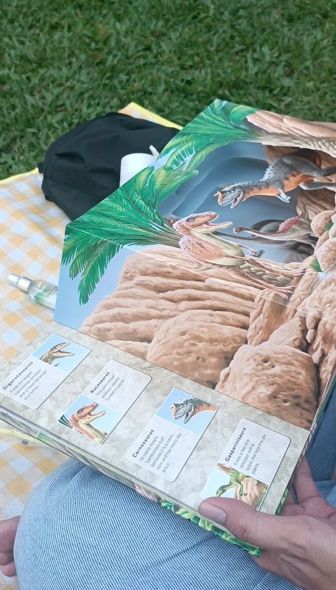 案 🌳🐤 tweet media