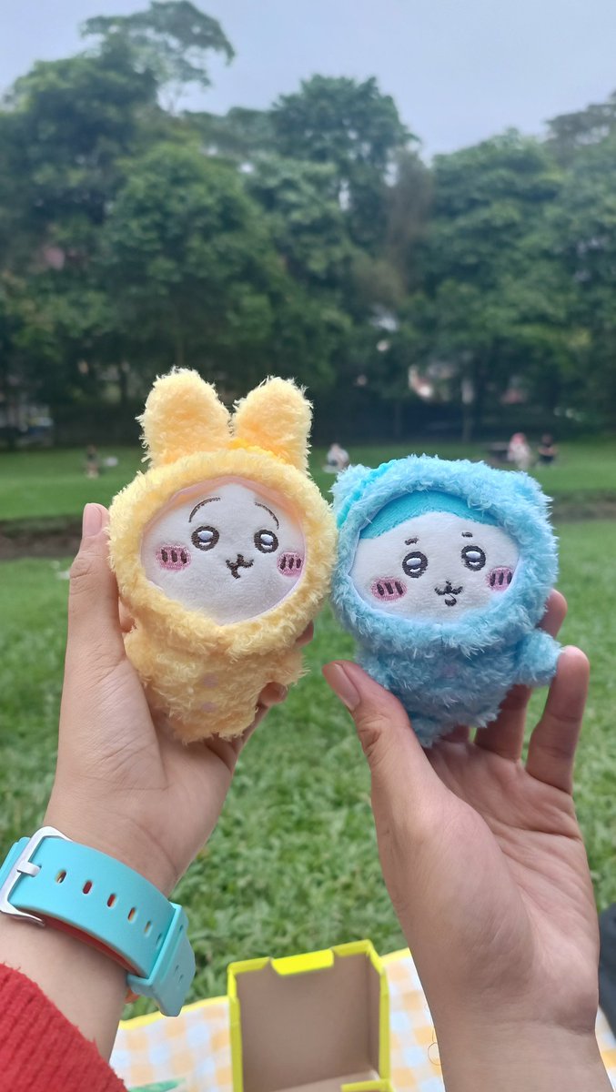 案 🌳🐤 tweet media