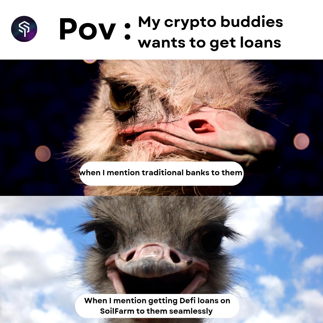 Hello champs 🫶,
Just told my hoomies about <a href="/soil_farm/">Soil</a>’s DeFi loans SO easy and seamless .  Deposited $USDC into their lending pool &amp; earned up to 7% APY, backed by vetted EU businesses.  The Soil App’s smooth interface and multichain support (Polygon, Ethereum, Arbitrum) make