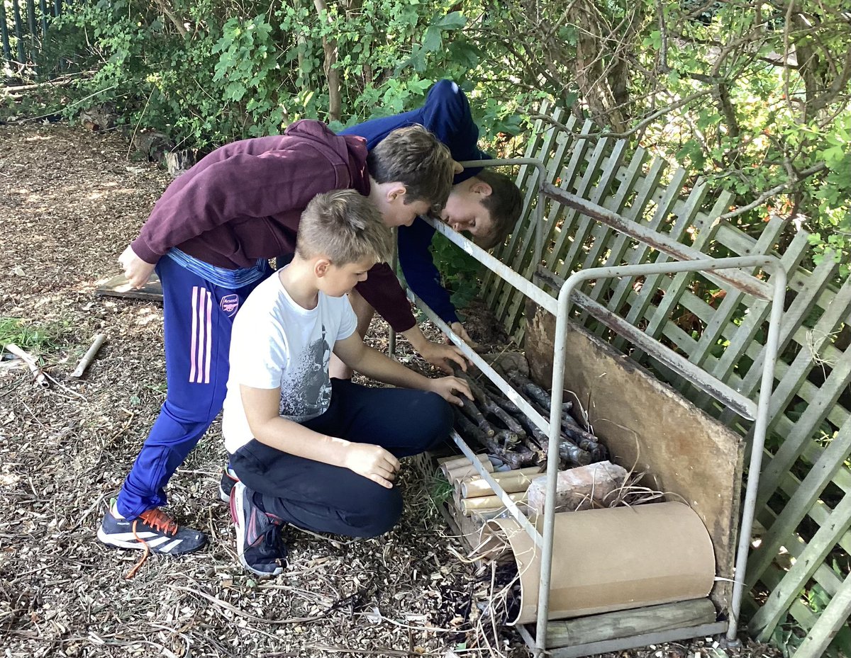 bhhjunior's tweet image. Y6 have been busy in the new science garden, building bug houses based on their designs. We are very pleased with the results and hope the bugs will be happy too! #bhhjscience #bhhjecocouncil  #bhhjcollaboration @OakTreesMAT
