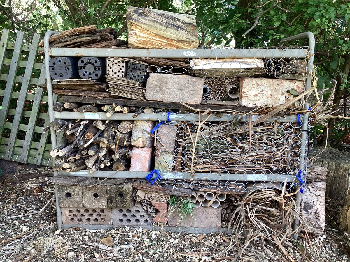 bhhjunior's tweet image. Y6 have been busy in the new science garden, building bug houses based on their designs. We are very pleased with the results and hope the bugs will be happy too! #bhhjscience #bhhjecocouncil  #bhhjcollaboration @OakTreesMAT