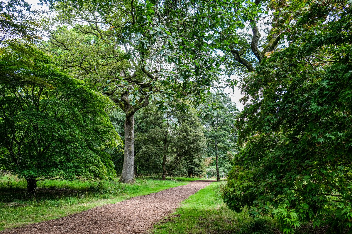 WestonbirtArb's tweet image. 🌲 New walk app launched today! Explore Silk Wood at Westonbirt Arboretum. Discover ancient woodland, native trees, climate action & history on a self-guided trail via @GoJauntly 🌿📲
Walk it here 👇 walks.gojauntly.com/walks/westonbi…