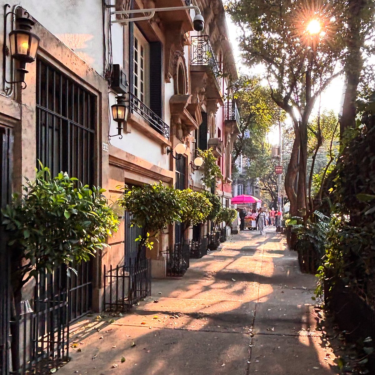 Nuestra colonia amanece tan bonita como siempre, #vecinos 🚲. Cuidémosla, respetémonos y construyamos juntos una comunidad donde quepamos todas y todos, sin violencia, con diálogo y empatía.

#CuidemosLaRoma
