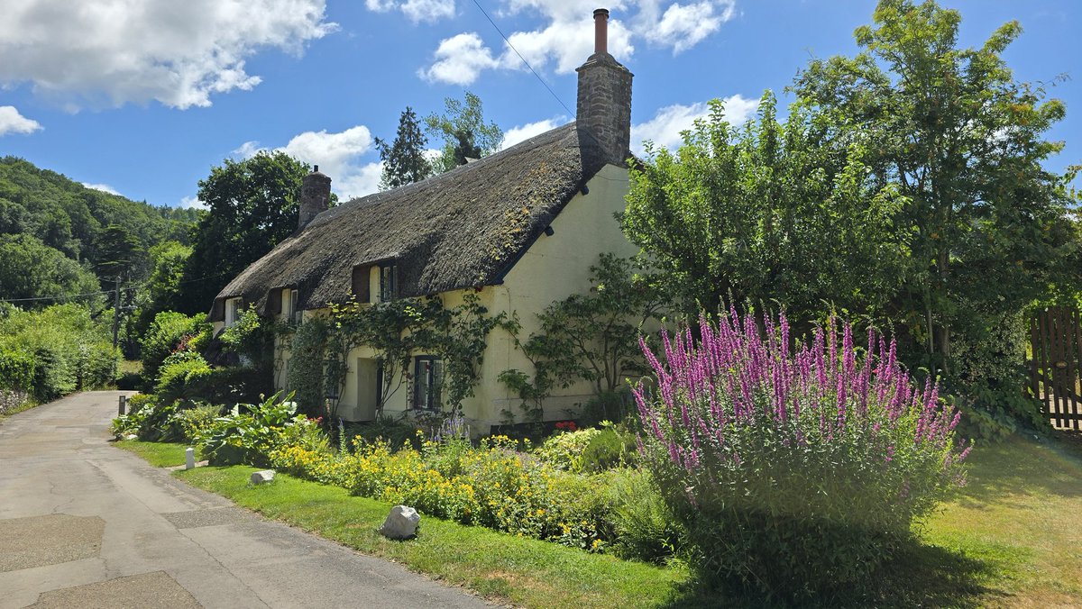 Dunster_Info's tweet image. A beautiful lunchtime stroll around Dunster today in the glorious sunshine. From historic streets to peaceful paths, the village was shining at its best! 🌞
#Dunster #DunsterInfo #DunsterVillage #Somerset