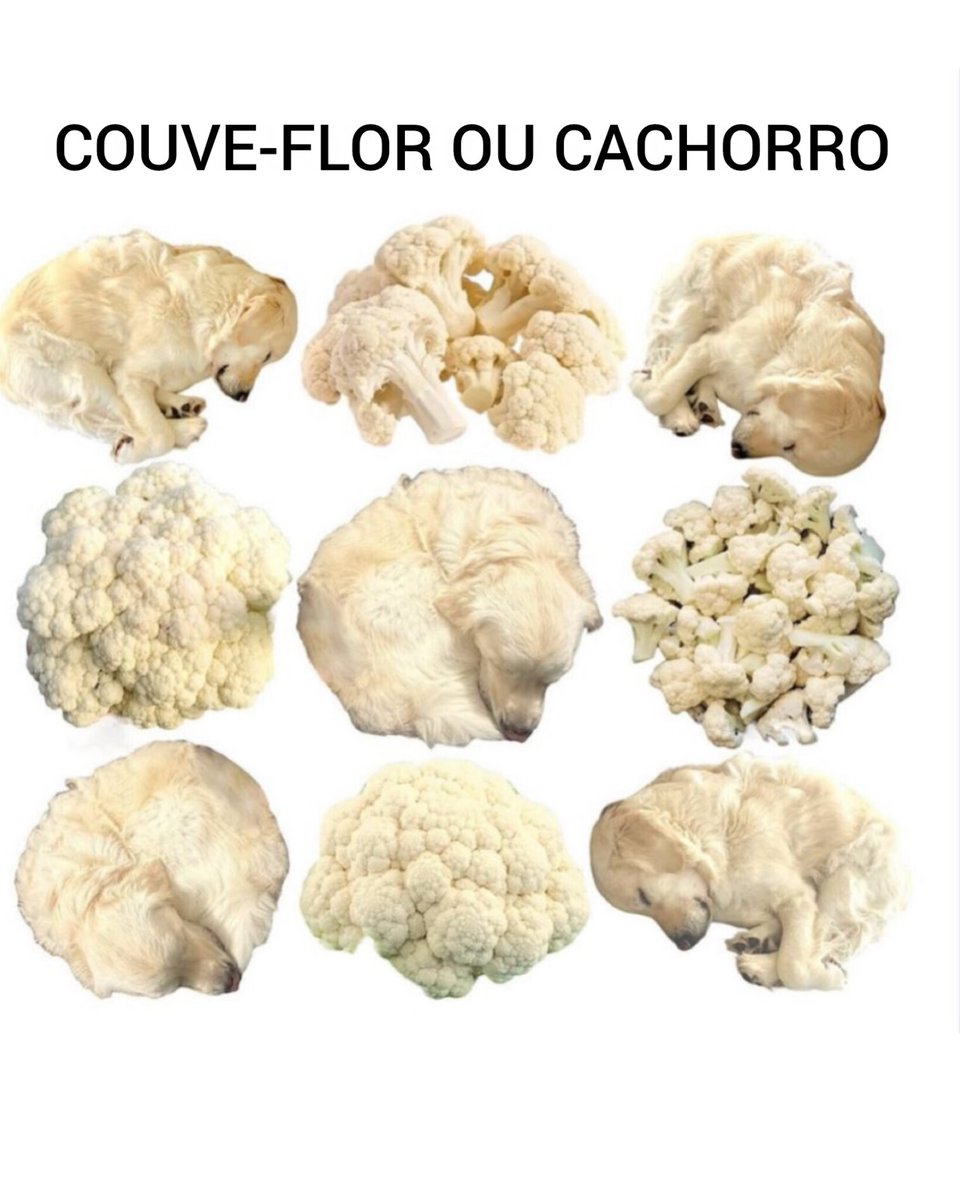 Filosofia Moderna (@filosofiamderna) on Twitter photo 