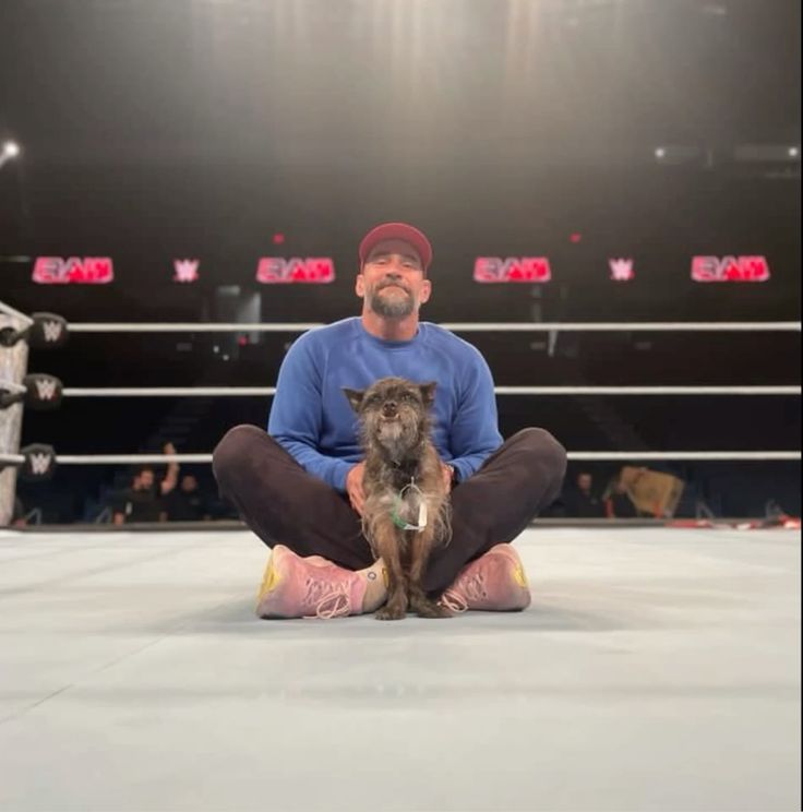out of context cm punk tweet media