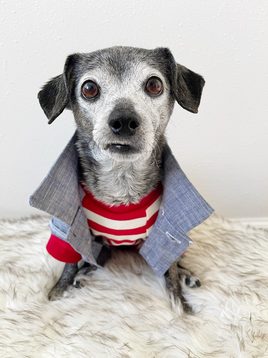 hope you have recovered from the sky booms.