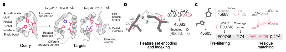 🧬Motifs are the new BLAST

Folddisco scans 53M AlphaFold structures for catalytic, binding or allosteric patterns in seconds🔎

18× quicker, 3.5× smaller, hits in seconds🌌