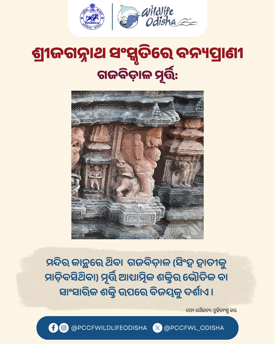 PCCFWL_Odisha's tweet photo. https://t.co/nHpSjap6gl