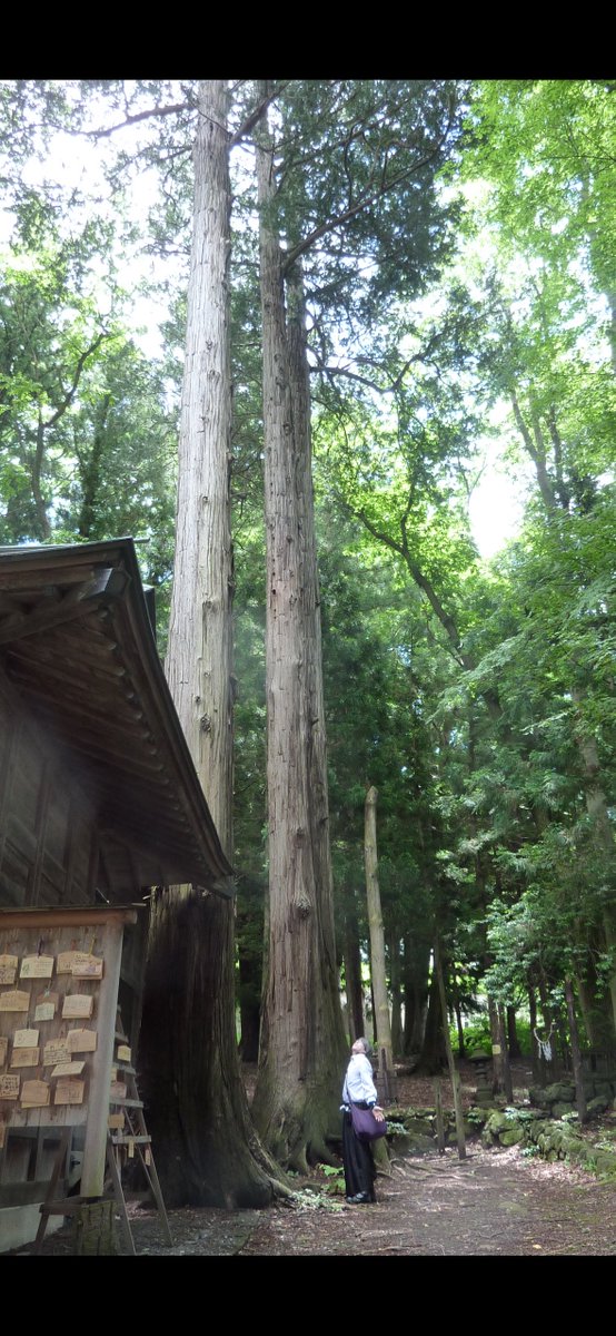 令和7年7月7日。本日もお疲れ様でした。
御先祖が護り育てた国で私は生きています。後世に何を残せるか。
7月20日は衆院選。
長野県岡谷市川岸東１丁目１２−２０　洩矢神社⛩️