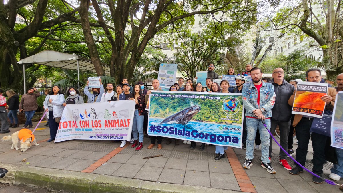 IDEA (@idea_un) on Twitter photo Este lunes 7 de julio a las 12 del medio día hora Colombia, en Conexión Ambiental, programa de radio ambiental del IDEA-UNAL: ¿Una base militar en la Isla Gorgona? Hablamos con el Comité Salvemos Gorgona y el apoyo del OCA del IDEA-UNAL por <a href="/RadioUNAL/">Radio UNAL</a> 98.5 F.M., en Bogotá. Este lunes 7 de julio a las 12 del medio día hora Colombia, en Conexión Ambiental, programa de radio ambiental del IDEA-UNAL: ¿Una base militar en la Isla Gorgona? Hablamos con el Comité Salvemos Gorgona y el apoyo del OCA del IDEA-UNAL por <a href="/RadioUNAL/">Radio UNAL</a> 98.5 F.M., en Bogotá.