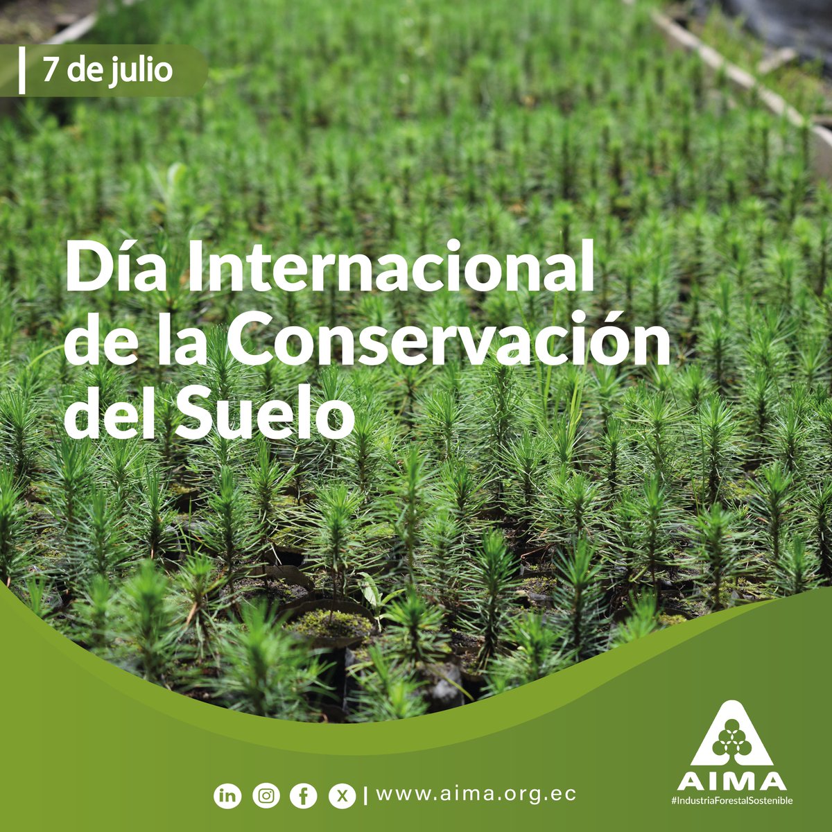 🌱 Día Internacional de la Conservación del Suelo 🌍

El suelo es la base de la vida y un recurso vital para la #IndustriaForestalSostenible. Protegerlo significa asegurar ecosistemas saludables, mantener la biodiversidad y garantizar recursos para las futuras generaciones.