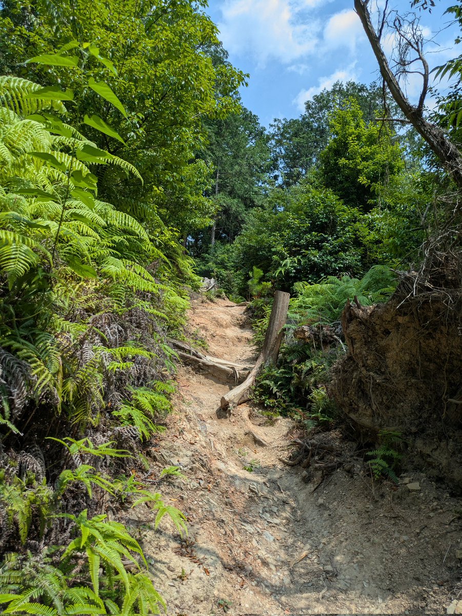 大文字山に登ってきました！🌿
静かな山道に癒され、心がスッと軽くなるような時間でした。
空気も景色も最高。やっぱり京都の自然はすごい✨
#大文字山 #京都登山 #トレッキング