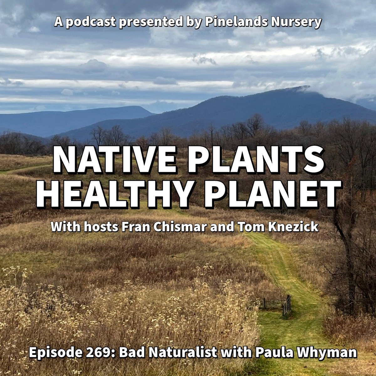 Tom &amp; <a href="/nativeplantfran/">Fran Chismar</a> connect w/ @paulawhymanauthor to talk about creating change &amp; finding ecological peace. Topics include collecting professional advice, figuring out the best place to start a project. bleav.com/shows/native-p…