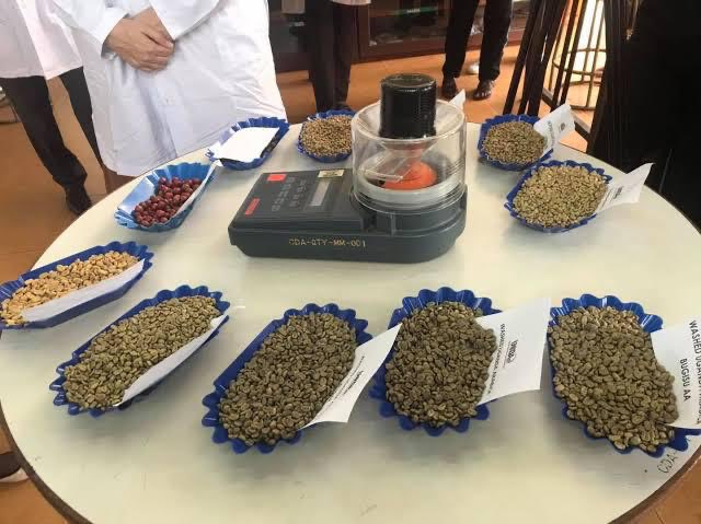 Germany earned $5.9 billion from coffee exports in 2023.

Africa, the birthplace of coffee, earned only $3.6 billion from coffee exports in 2022.

This disparity is striking given that Germany doesn’t grow coffee.

Ethiopia and Uganda are among the world’s top ten largest