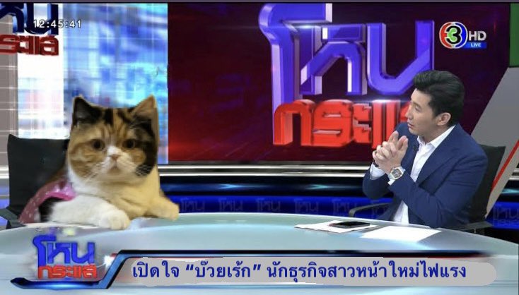 แฮแท 🍒 (@haetaeyoari) on Twitter photo 